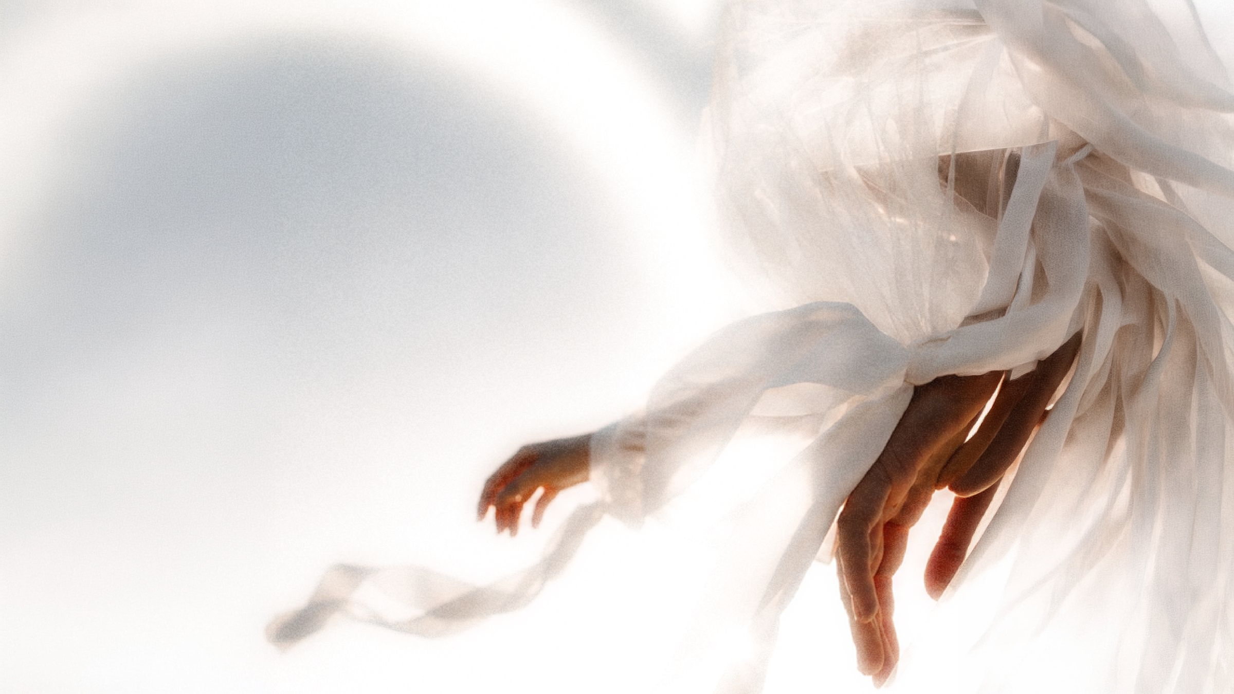 Sheer white fabric caught mid-air in bright light movement with direction.